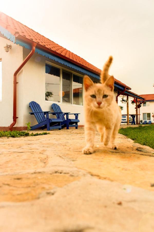 La Konac Guest house Murighiol