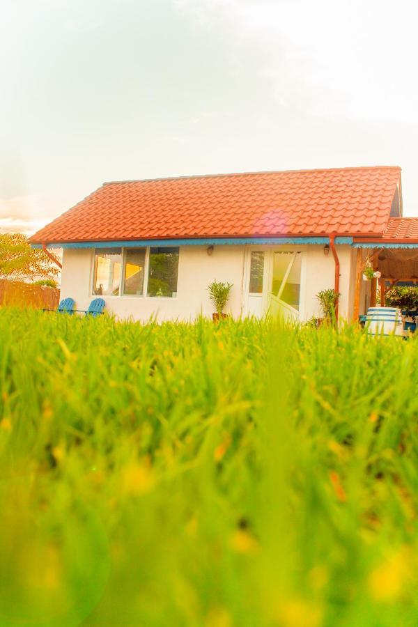 Guest house La Konac Murighiol