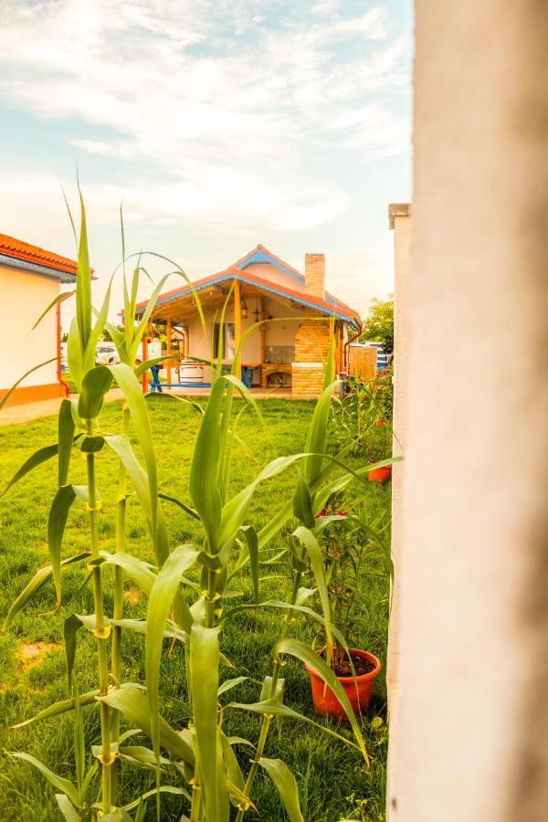 Maison d'hôtes La Konac Murighiol